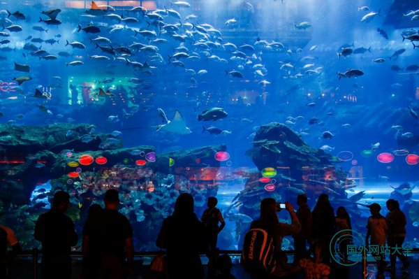 DubaiAquarium:迪拜海洋水族馆，观光廊