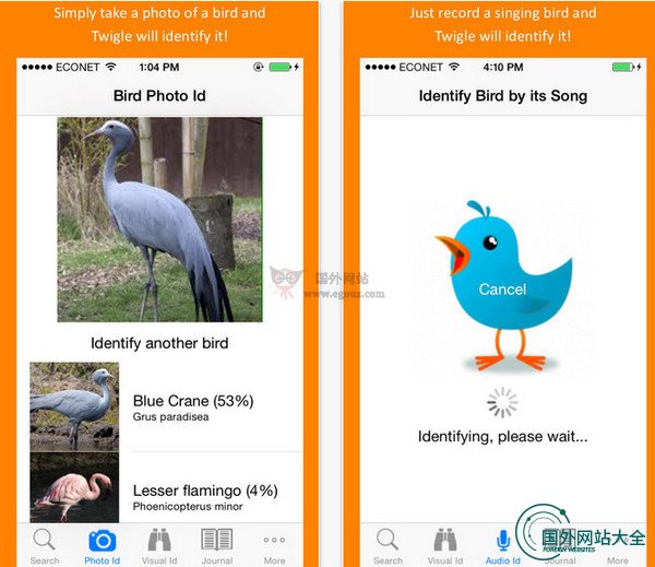 Twigle:鸟类智能识别应用